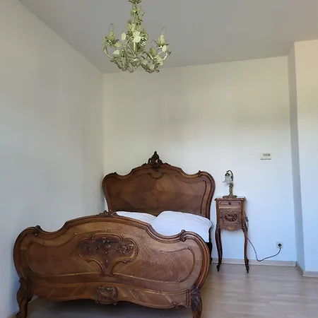 Im Herzen Der Historischen Altstadt Mit Elbblick Und Balkon Апартаменты Пирна