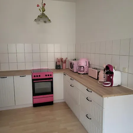 公寓 Im Herzen Der Historischen Altstadt Mit Elbblick Und Balkon *