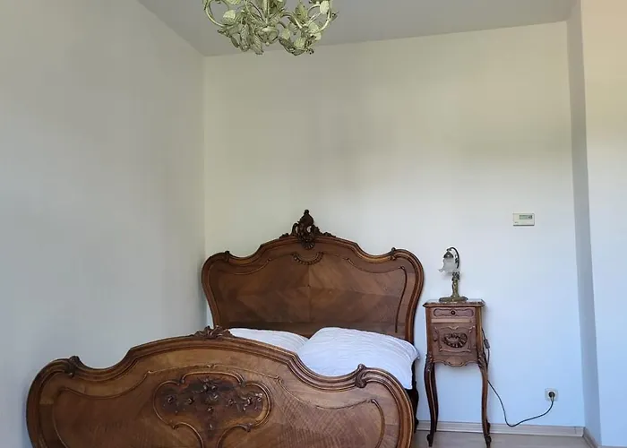 Im Herzen Der Historischen Altstadt Mit Elbblick Und Balkon Appartement Pirna